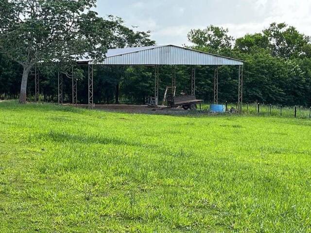 #14 - Chácara para Venda em Itapetininga - SP