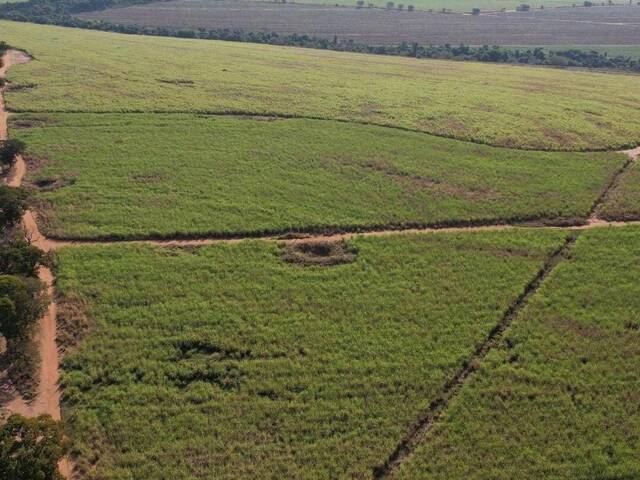 #22 - Fazenda para Venda em Araraquara - SP