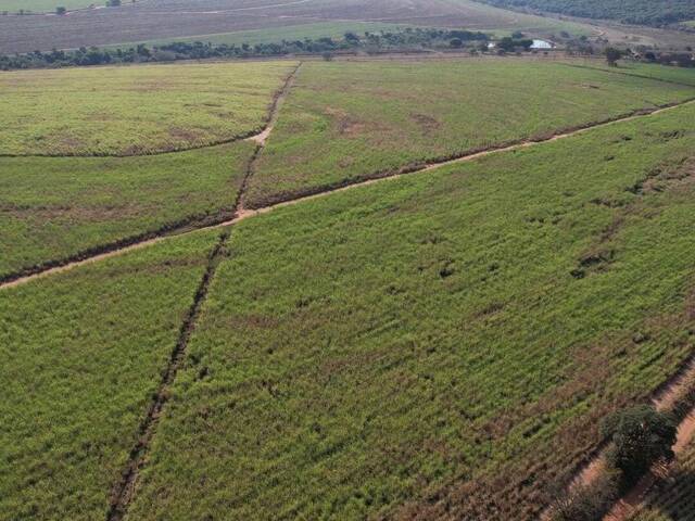 #22 - Fazenda para Venda em Araraquara - SP