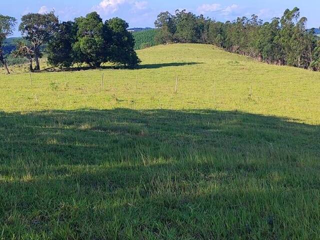 #20 - Sítio para Venda em Sorocaba - SP