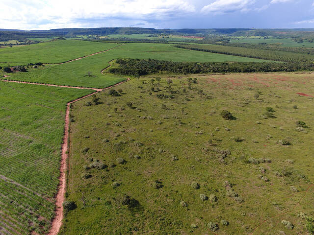 #25 - Fazenda para Venda em Uberlândia - MG