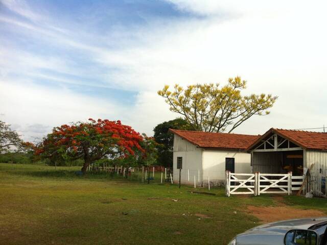 #30 - Fazenda para Venda em Presidente Prudente - SP