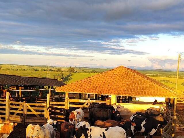 #33 - Fazenda para Venda em São Miguel Arcanjo - SP