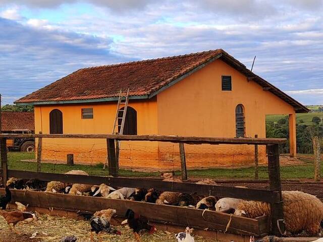#33 - Fazenda para Venda em São Miguel Arcanjo - SP