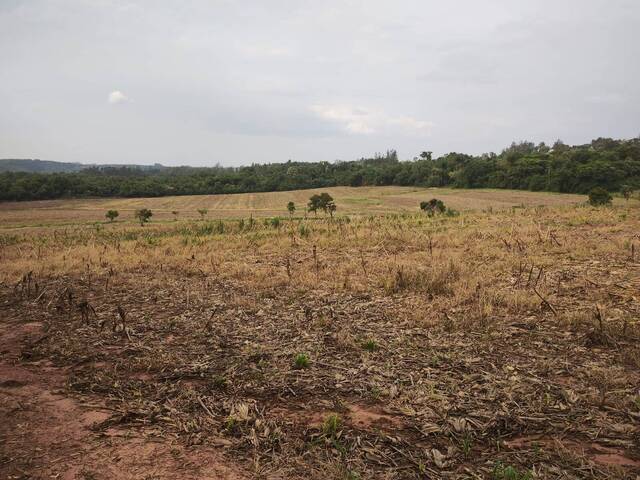 #36 - Sítio para Venda em Angatuba - SP