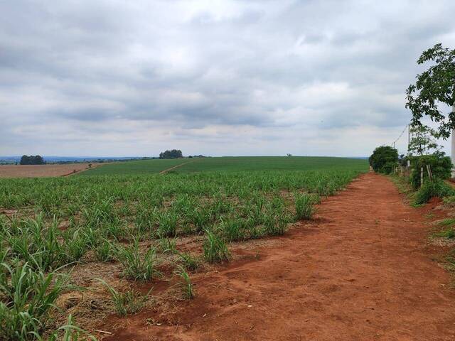 #37 - Fazenda para Venda em Itapetininga - SP