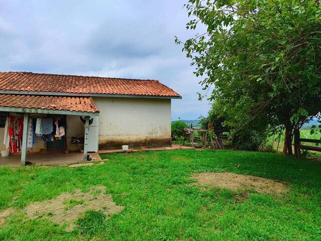 #37 - Fazenda para Venda em Itapetininga - SP