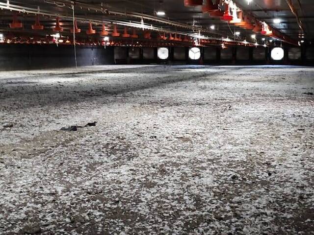 #41 - Empresa para Venda em Porangaba - SP
