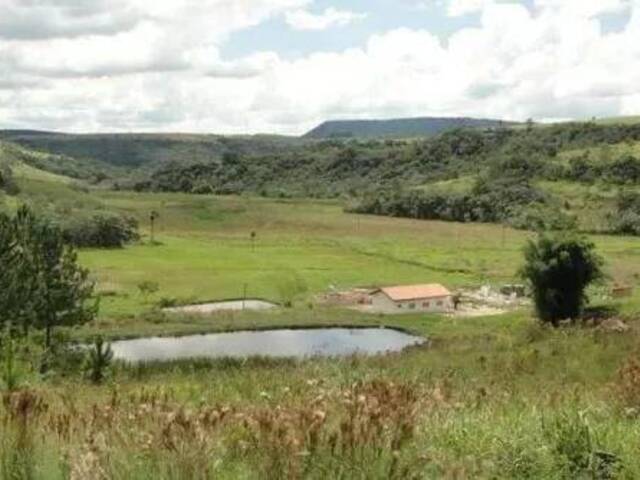 #44 - Fazenda para Venda em Botucatu - SP