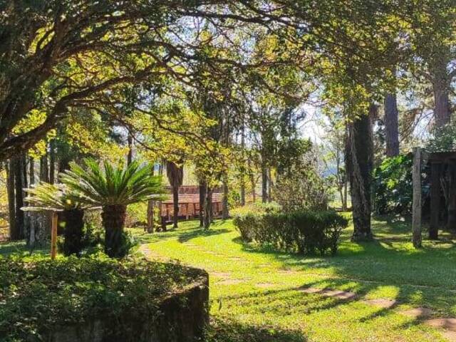 #45 - Fazenda para Venda em Botucatu - SP