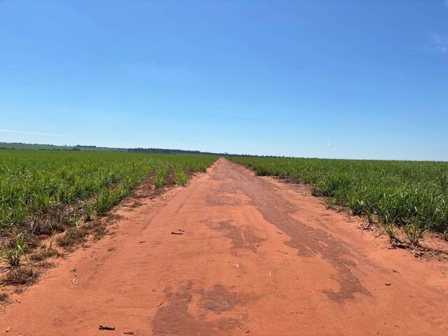 #46 - Fazenda para Venda em Presidente Prudente - SP