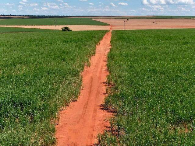 #46 - Fazenda para Venda em Presidente Prudente - SP