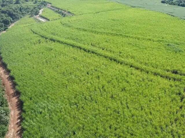 #47 - Fazenda para Venda em Avaré - SP