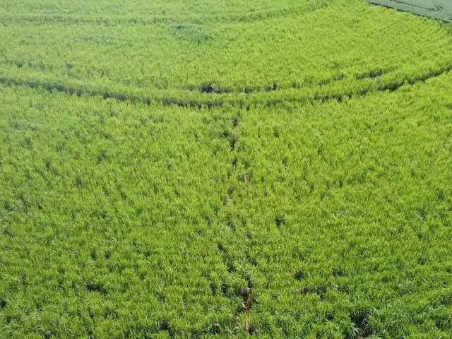 #47 - Fazenda para Venda em Avaré - SP