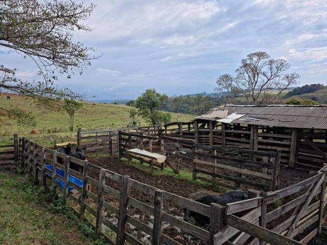 #55 - Sítio para Venda em Botucatu - SP