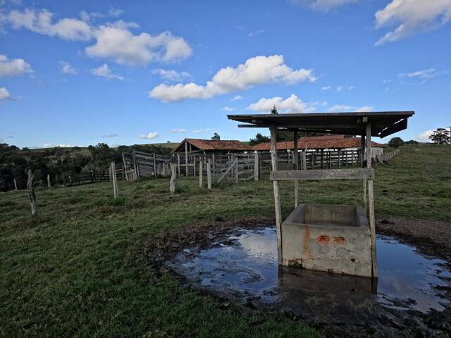 #58 - Fazenda para Venda em Itapetininga - SP