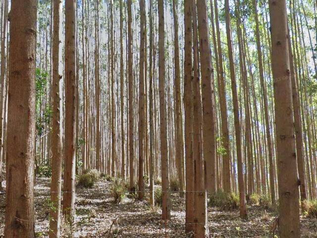 #64 - Fazenda para Venda em São Paulo - SP