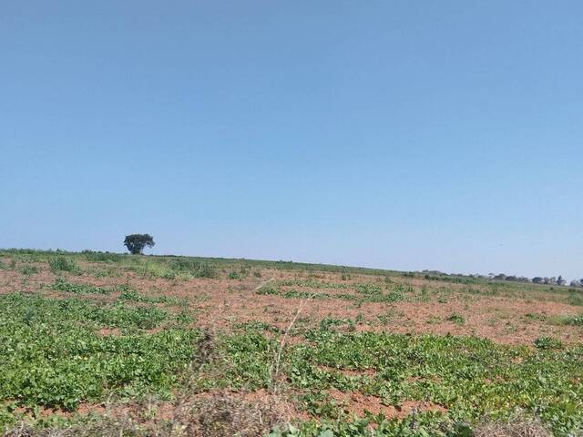 #66 - Fazenda para Venda em Itapetininga - SP