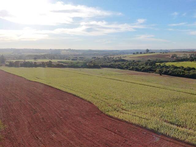 #67 - Sítio para Venda em Sorocaba - SP