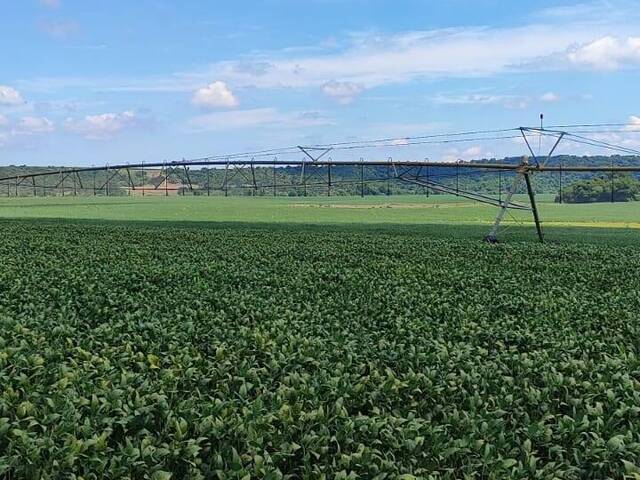 #68 - Fazenda para Venda em Paranapanema - SP