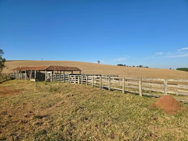 #69 - Fazenda para Venda em Capão Bonito - SP