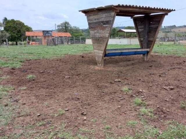 #71 - Sítio para Venda em Itapetininga - SP