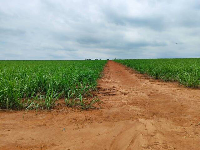 #73 - Fazenda para Venda em Itapetininga - SP