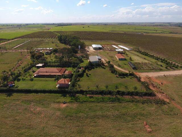 #75 - Fazenda para Venda em Penápolis - SP