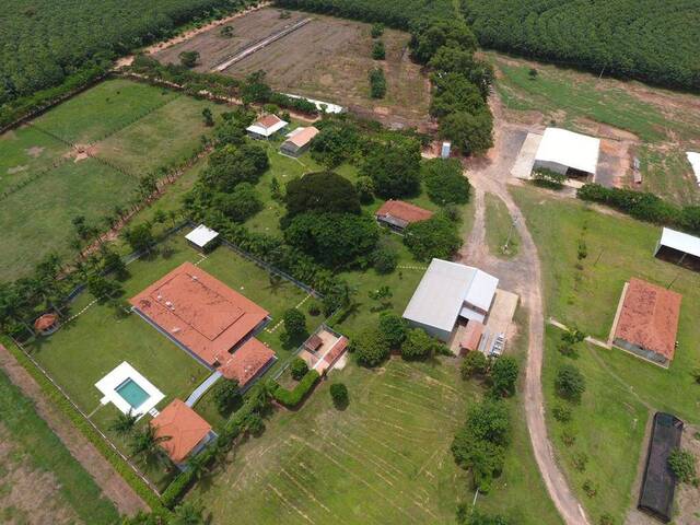 #75 - Fazenda para Venda em Penápolis - SP