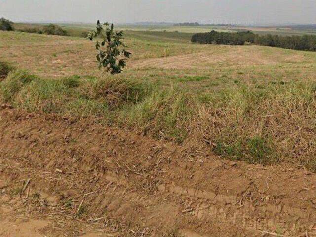 #77 - Fazenda para Venda em Porto Feliz - SP