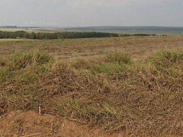 #77 - Fazenda para Venda em Porto Feliz - SP