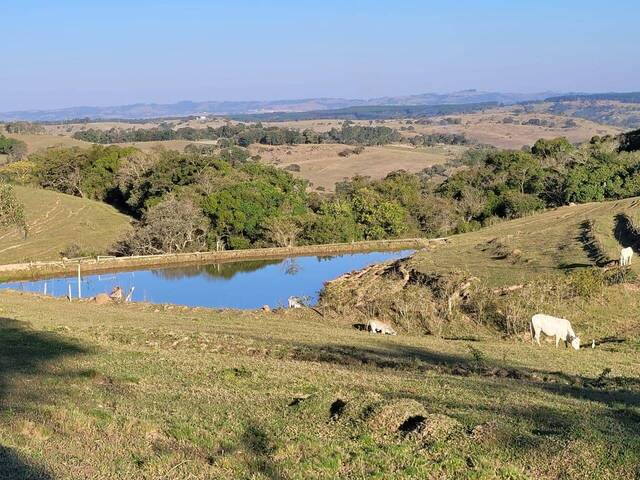 #78 - Sítio para Venda em Angatuba - SP