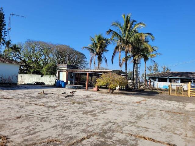 #78 - Sítio para Venda em Angatuba - SP