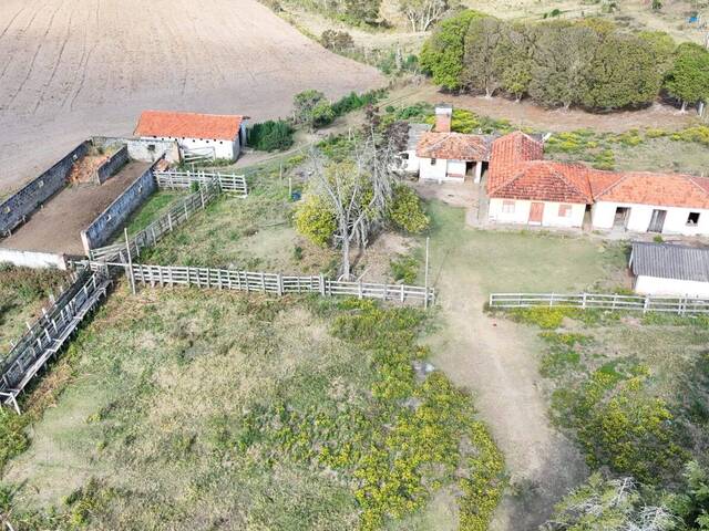 #84 - Fazenda para Venda em São Miguel Arcanjo - SP