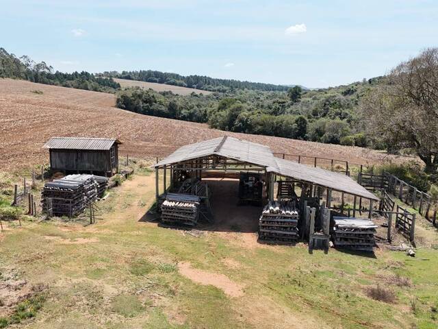 #85 - Fazenda para Venda em São Miguel Arcanjo - SP