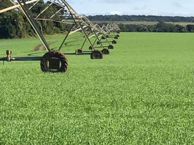 #87 - Fazenda para Venda em Mirante do Paranapanema - SP