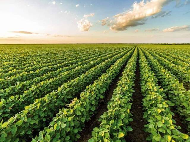 #87 - Fazenda para Venda em Mirante do Paranapanema - SP