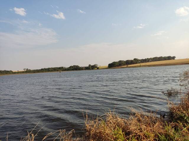 #87 - Fazenda para Venda em Mirante do Paranapanema - SP