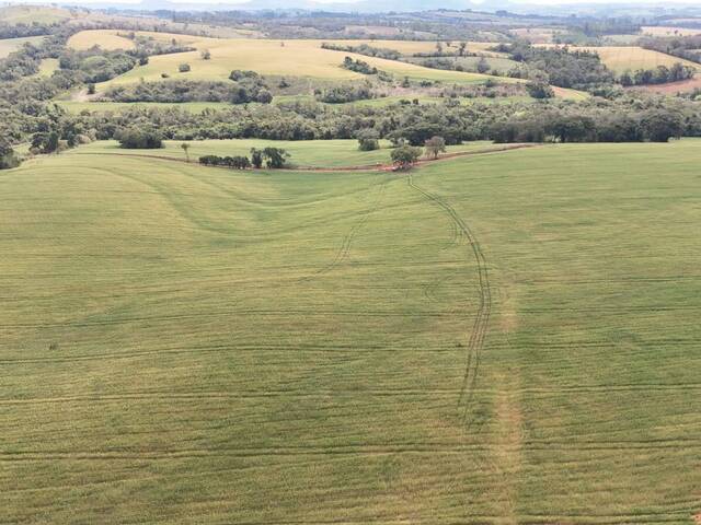 #89 - Sítio para Venda em Itapetininga - SP