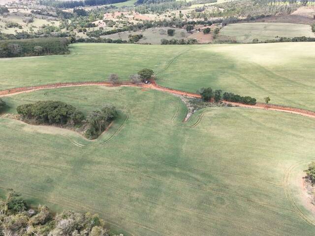 #89 - Sítio para Venda em Itapetininga - SP