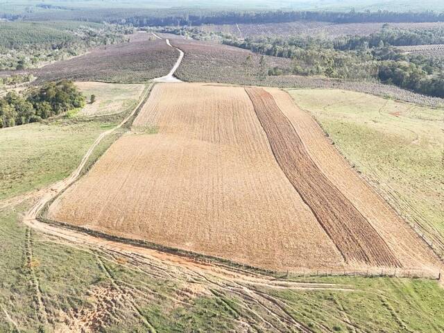 #90 - Sítio para Venda em São Miguel Arcanjo - SP
