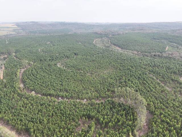 #91 - Fazenda para Venda em Tatuí - SP