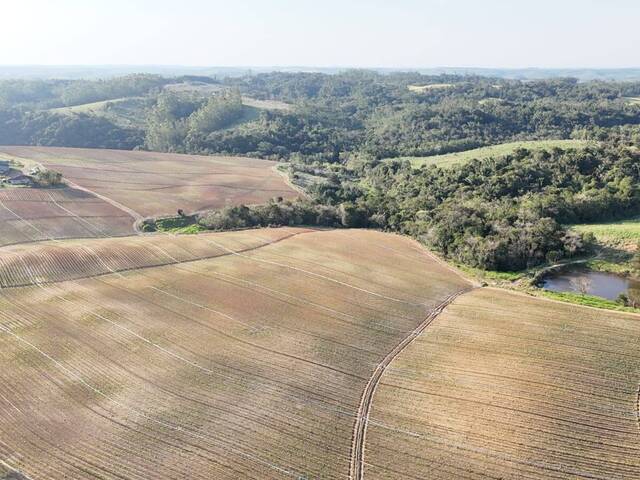 #93 - Fazenda para Venda em São Miguel Arcanjo - SP