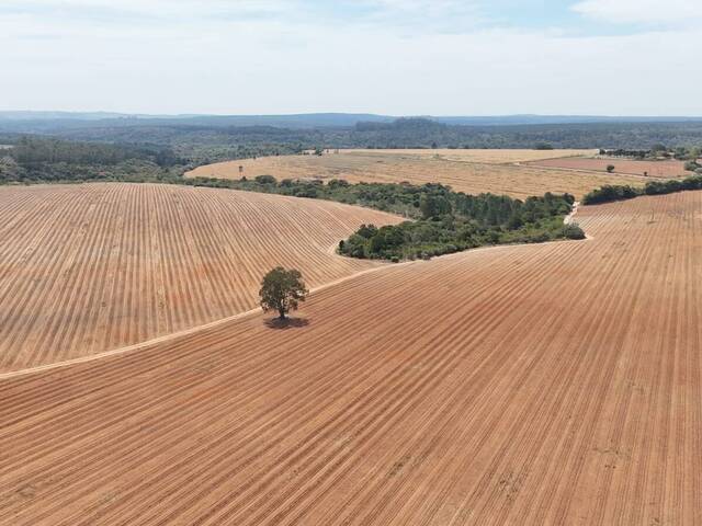 #96 - Fazenda para Venda em Itapetininga - SP