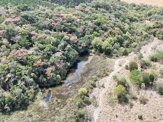 #96 - Fazenda para Venda em Itapetininga - SP