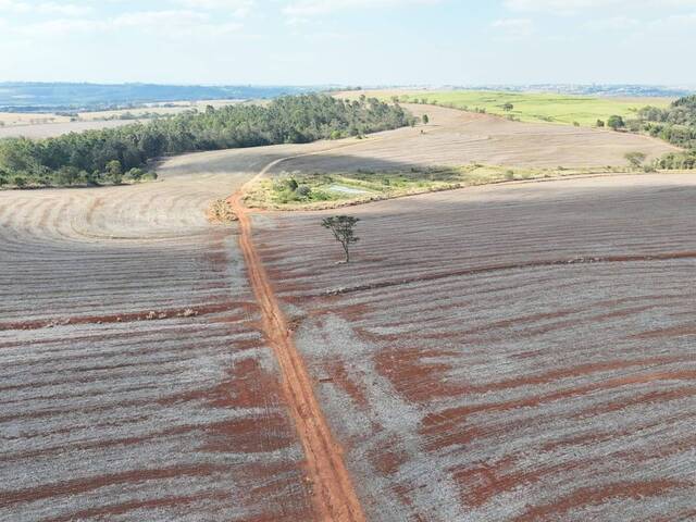 #97 - Fazenda para Venda em Tatuí - SP