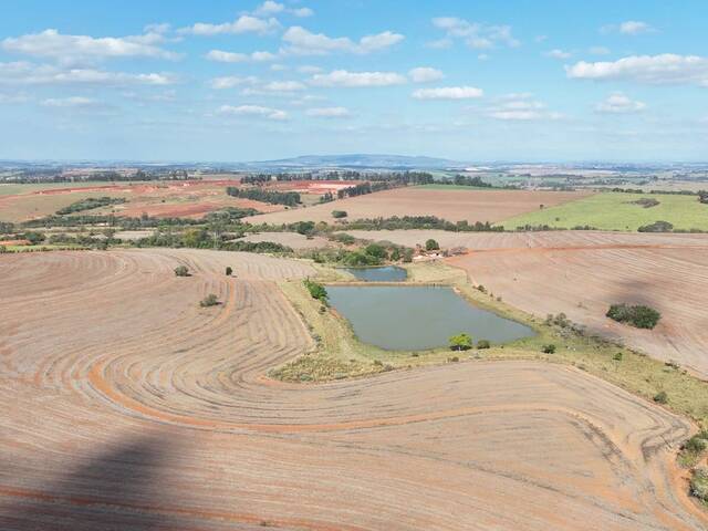#97 - Fazenda para Venda em Tatuí - SP