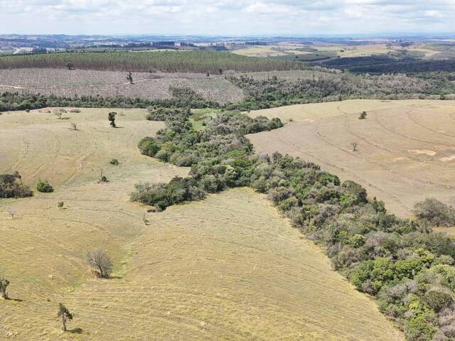 #98 - Fazenda para Venda em Sorocaba - SP