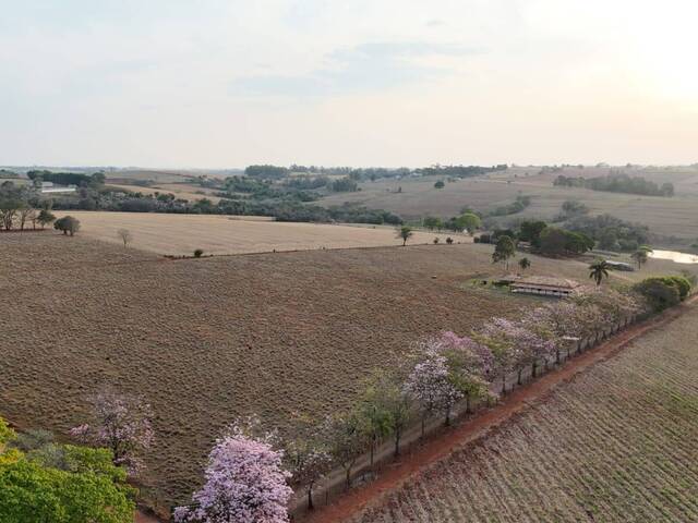 #99 - Sítio para Venda em Tatuí - SP