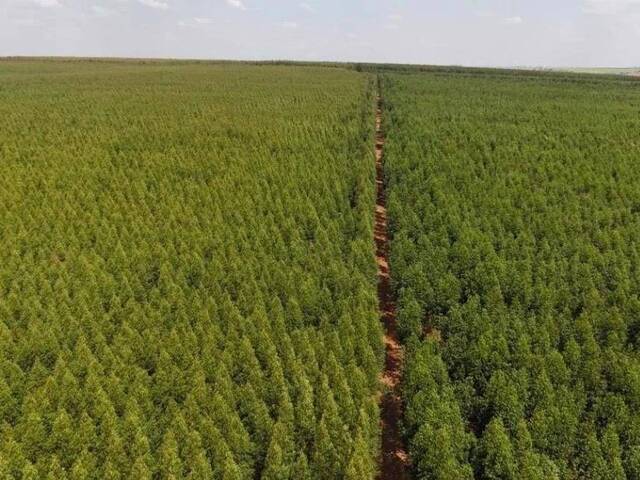 #101 - Fazenda para Venda em Itu - SP